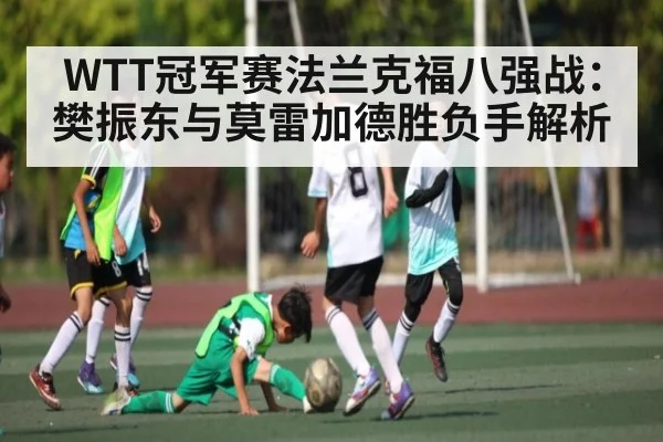 WTT冠军赛法兰克福八强战：樊振东与莫雷加德胜负手解析